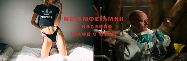 гидра Михайловка