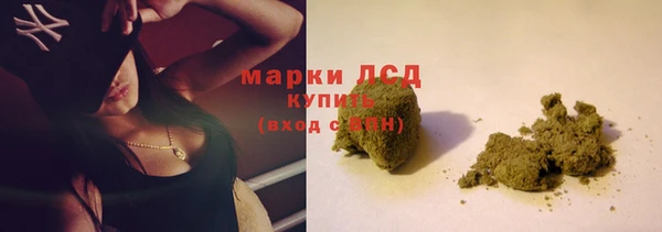 гидра Михайловка