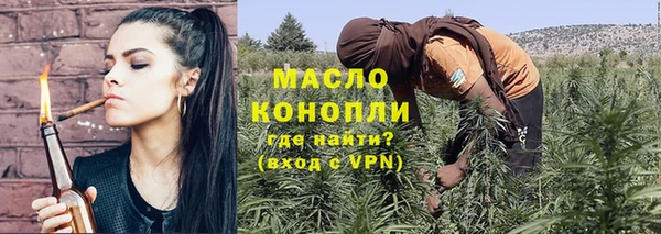 гидра Михайловка