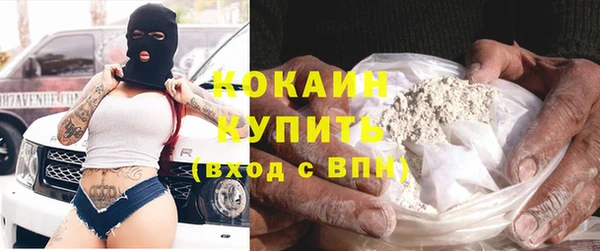 гидра Михайловка