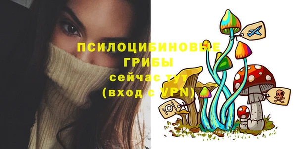 гидра Михайловка