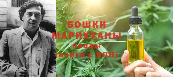 гидра Михайловка