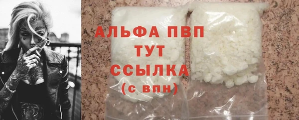 гидра Михайловка