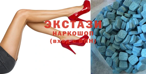 гидра Михайловка