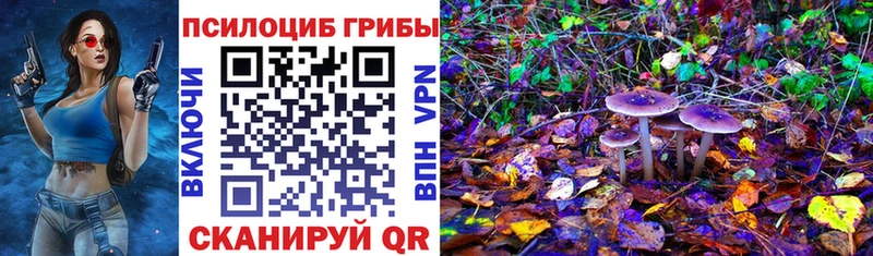 где купить наркотик  omg ТОР  Псилоцибиновые грибы Psilocybine cubensis  Ялта 